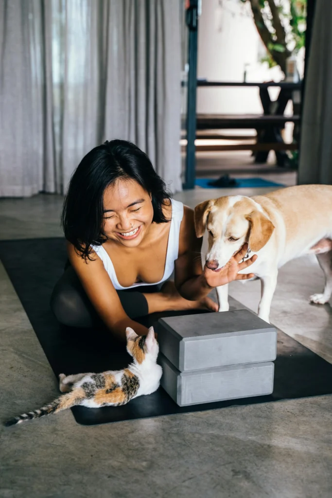 Affordable and trusted pet care by HelpMate